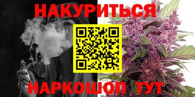 сатива Усть-Джегута