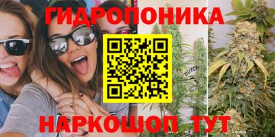 сатива Усть-Джегута
