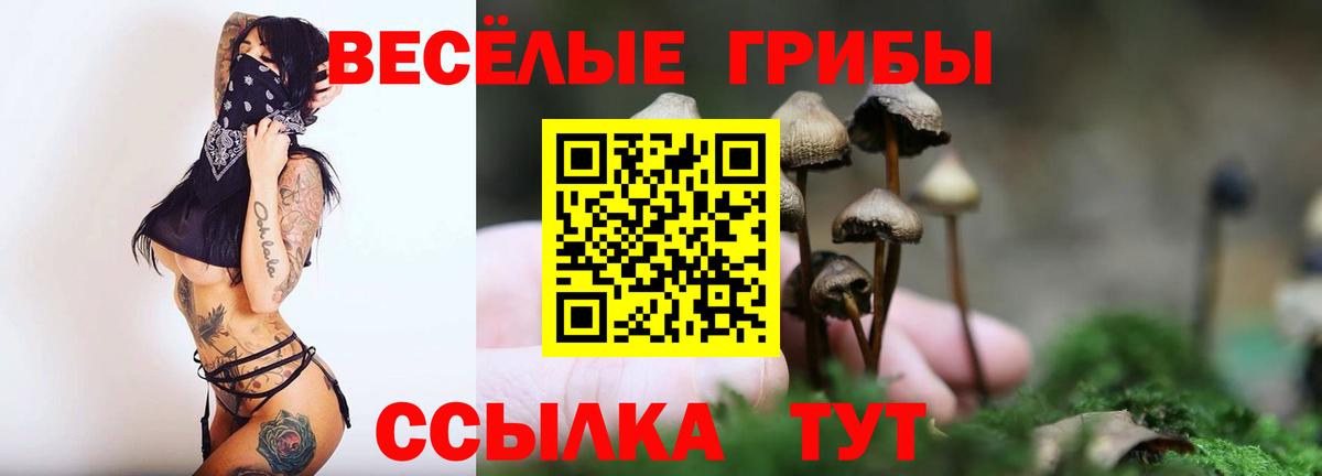 Галлюциногенные грибы ЛСД  Улан-Удэ 