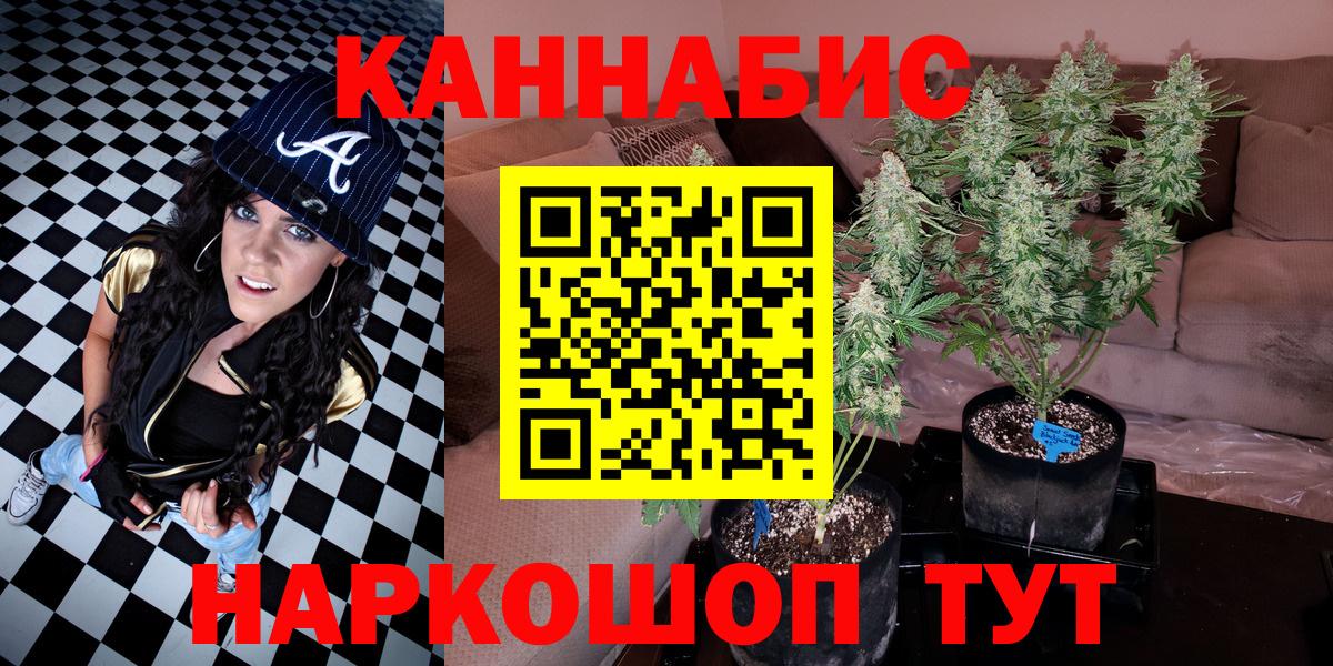 Конопля сатива Улан-Удэ